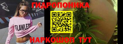 шишки Нягань