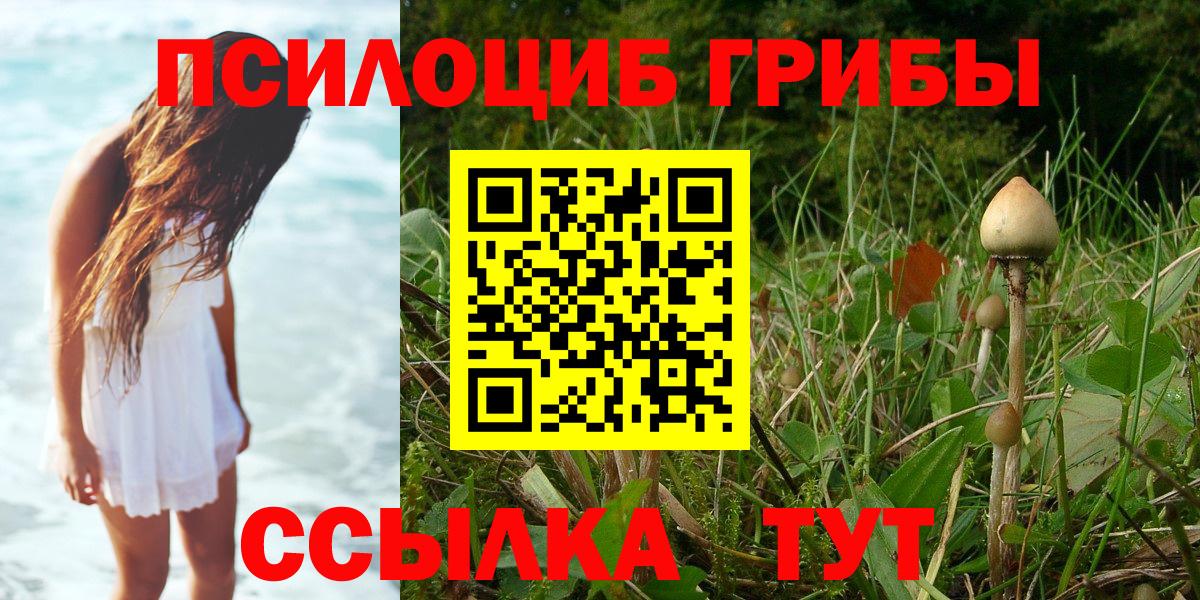 Нягань  Псилоцибиновые грибы GOLDEN TEACHER  Галлюциногенные грибы мухоморы  Вход с VPN 